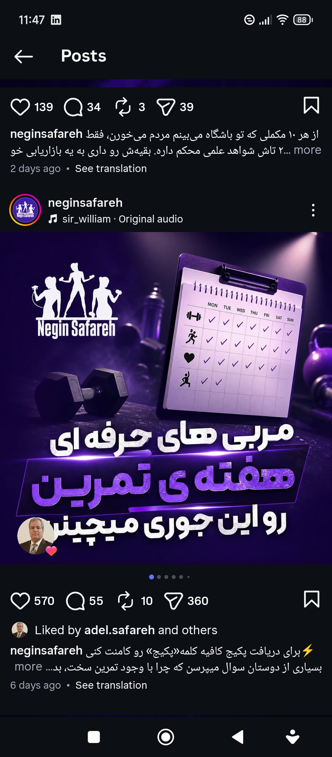 عضلات ساق پا
