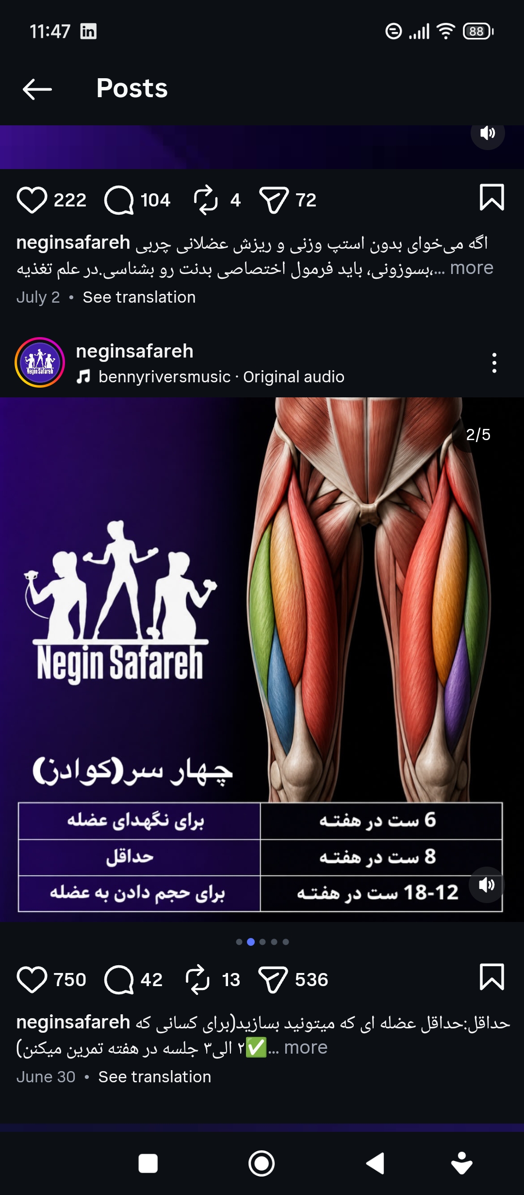 نیلوفر کریمی